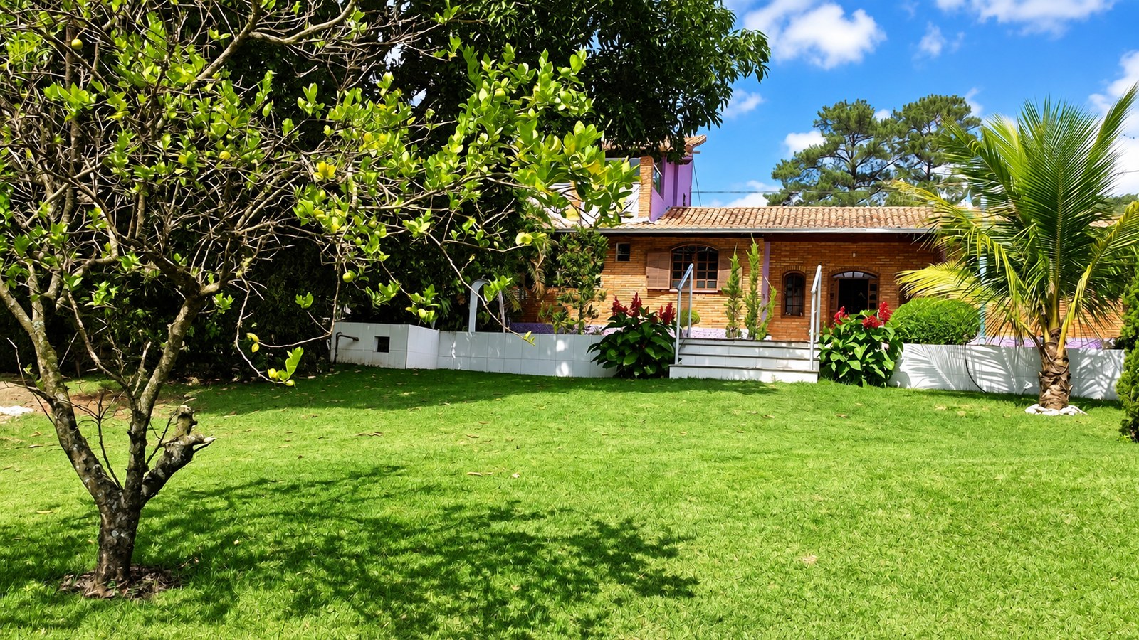 Jardim e área verde